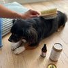 Toutou Petcare Kaksipuolinen harja pitkälle ja keskipitkälle karvalle
