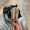 Toutou Petcare Kaksipuolinen harja pitkälle ja keskipitkälle karvalle