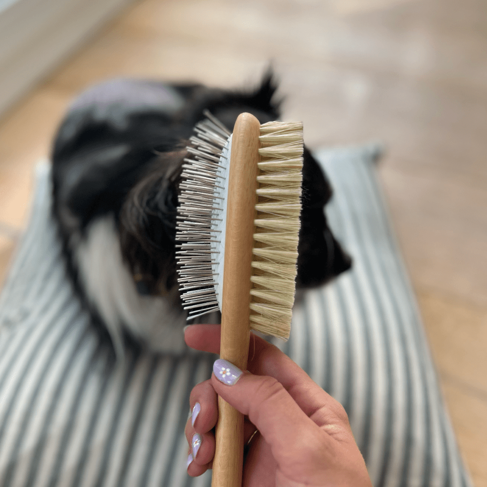 Toutou Petcare Kaksipuolinen harja pitkälle ja keskipitkälle karvalle