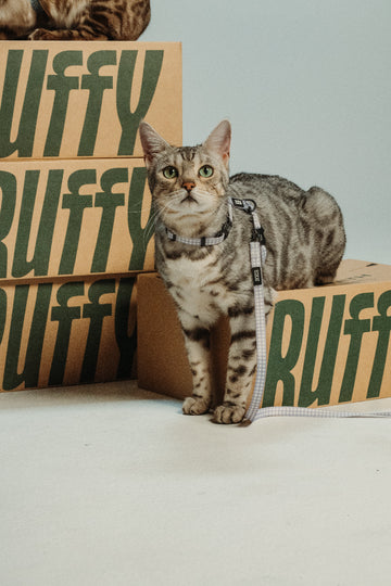 Kissan tarvikekauppa netissä