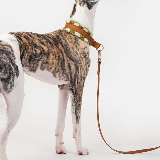 ruskea koiran biothane hihna