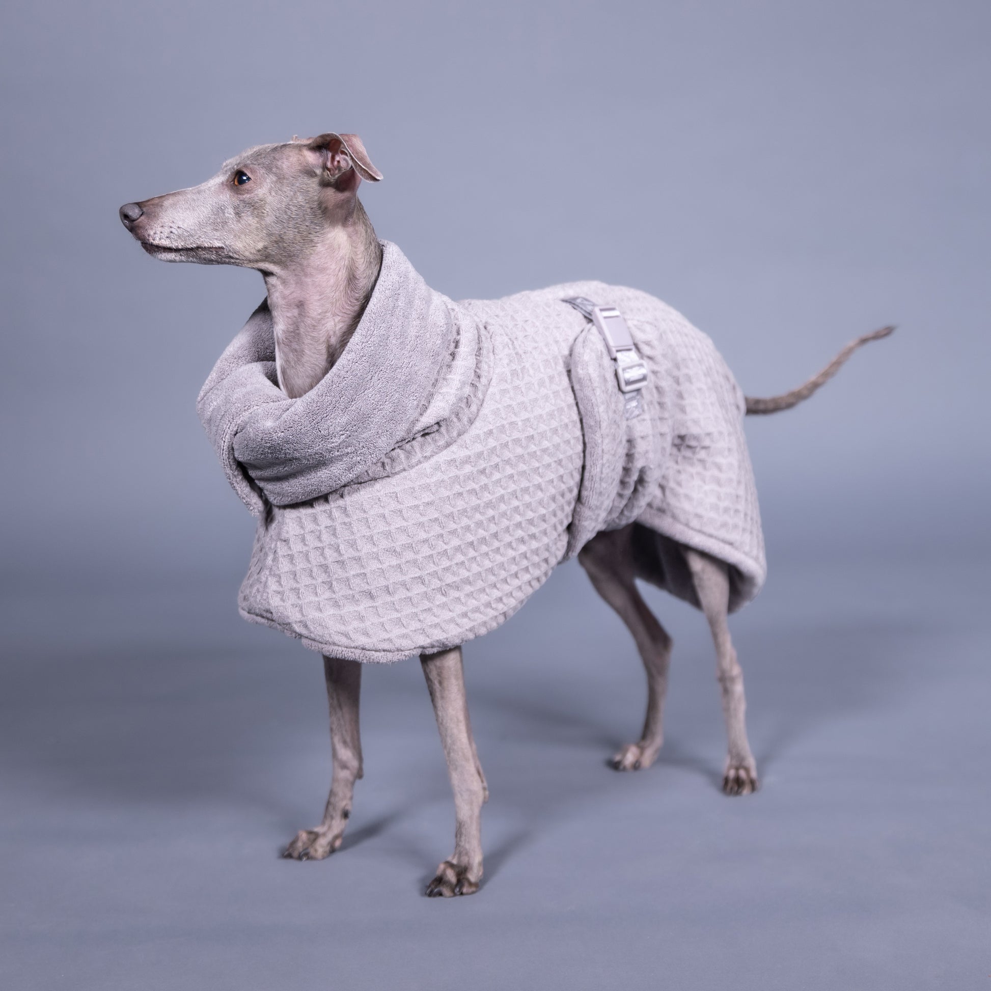 PAIKKA kylpytakki koiralle, harmaa