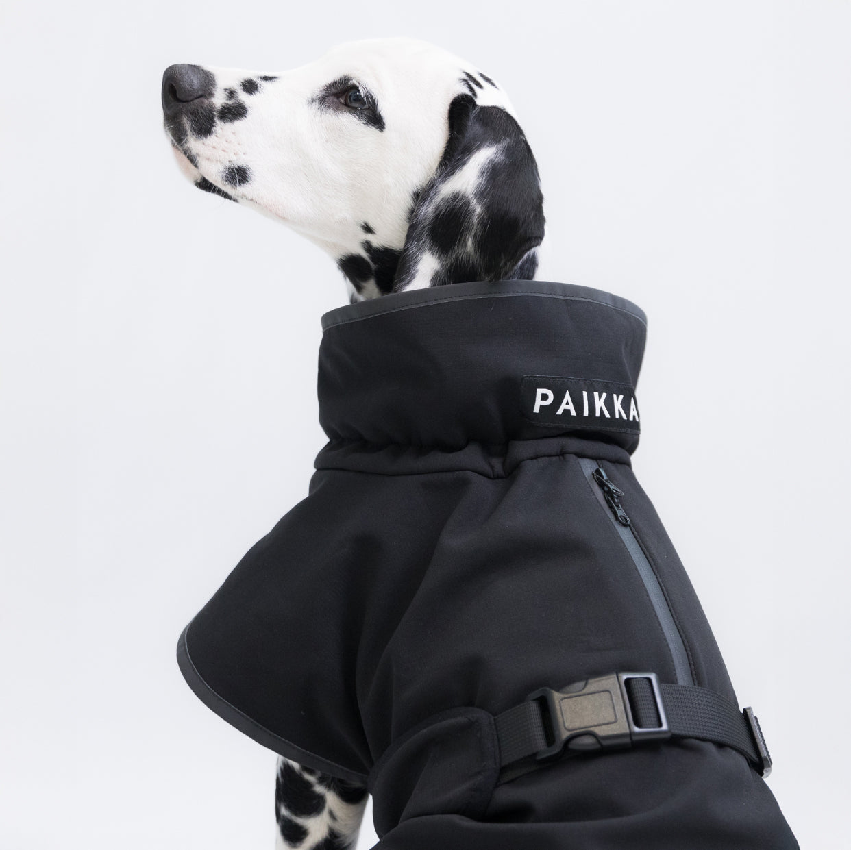 PAIKKA palauttava softshell-takki koiralle, musta