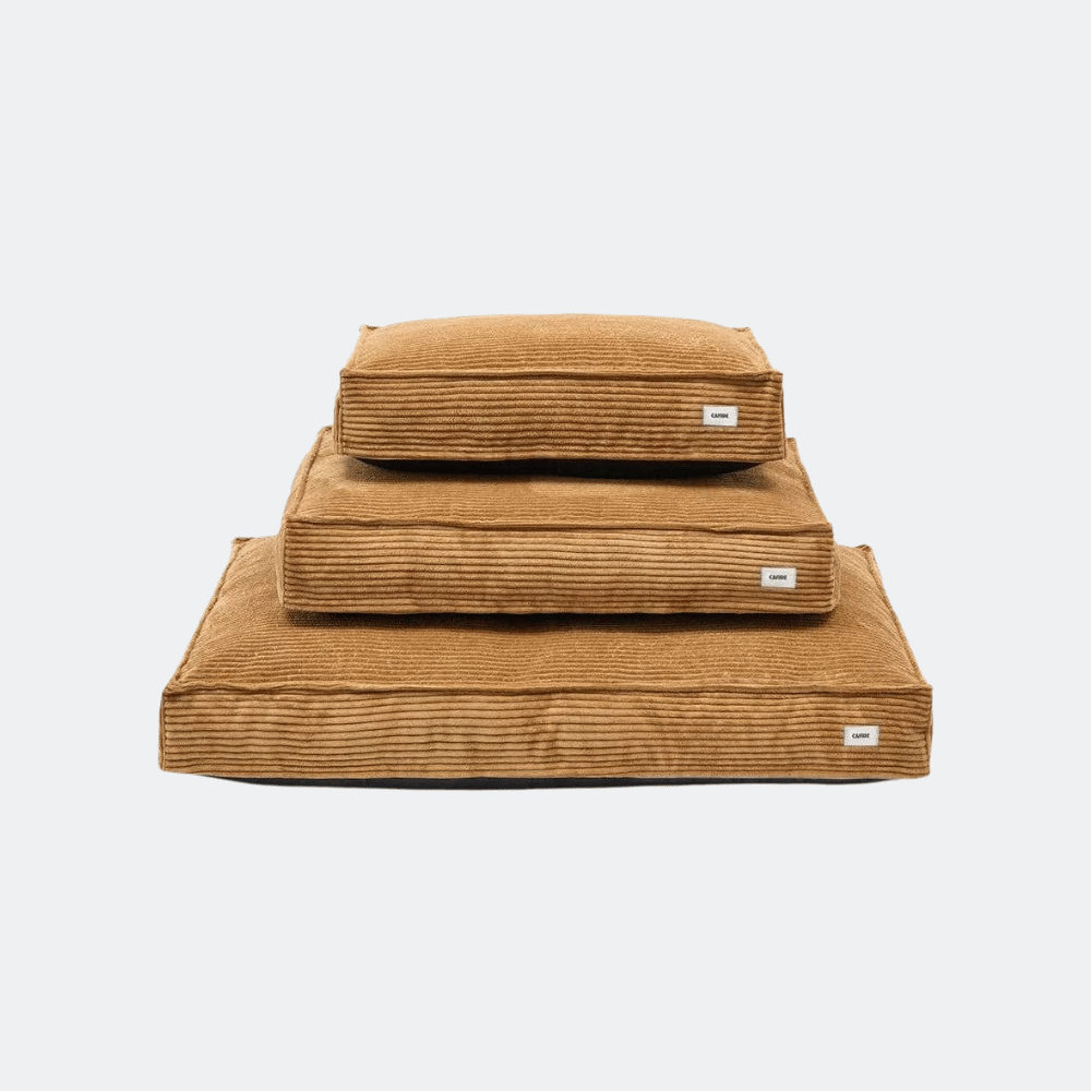 Dog beds