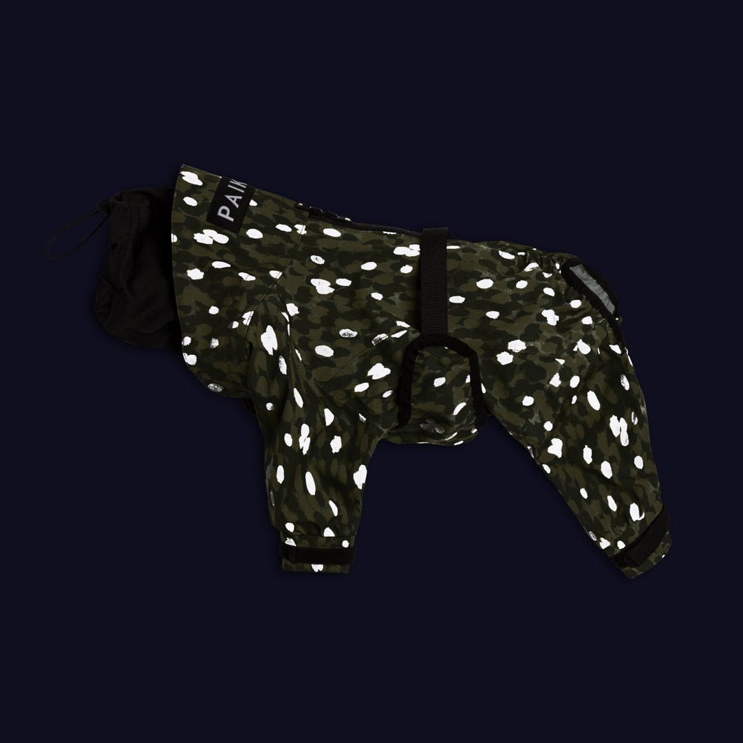 PAIKKA Koiran sadehaalari, vihreä