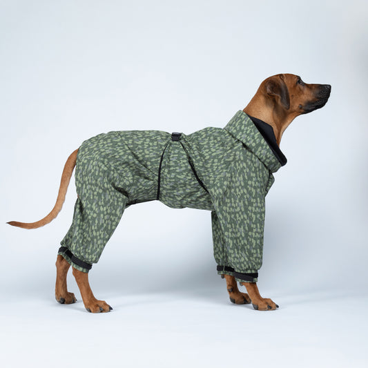 PAIKKA koiran sadehaalari, vihreä