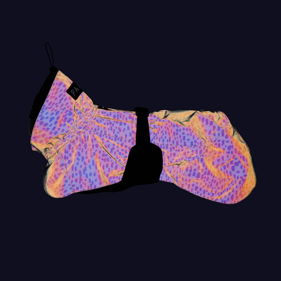 PAIKKA Koiran sadetakki 2.0, pilkullinen