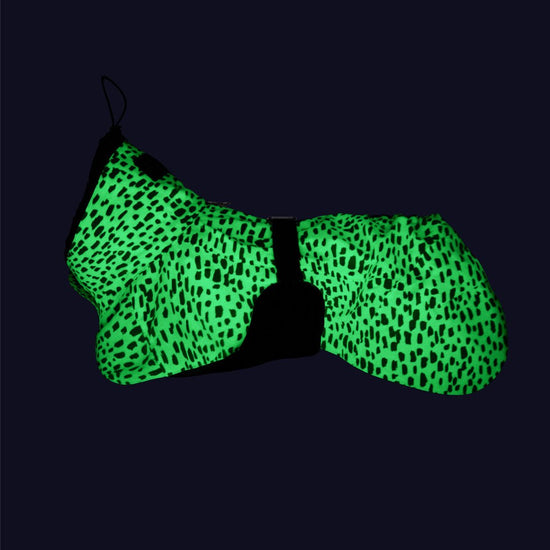 PAIKKA Koiran sadetakki 2.0, pilkullinen