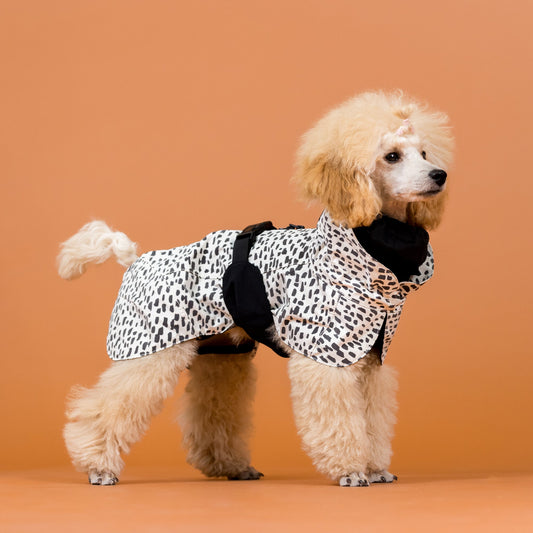 PAIKKA Koiran sadetakki 2.0, pilkullinen