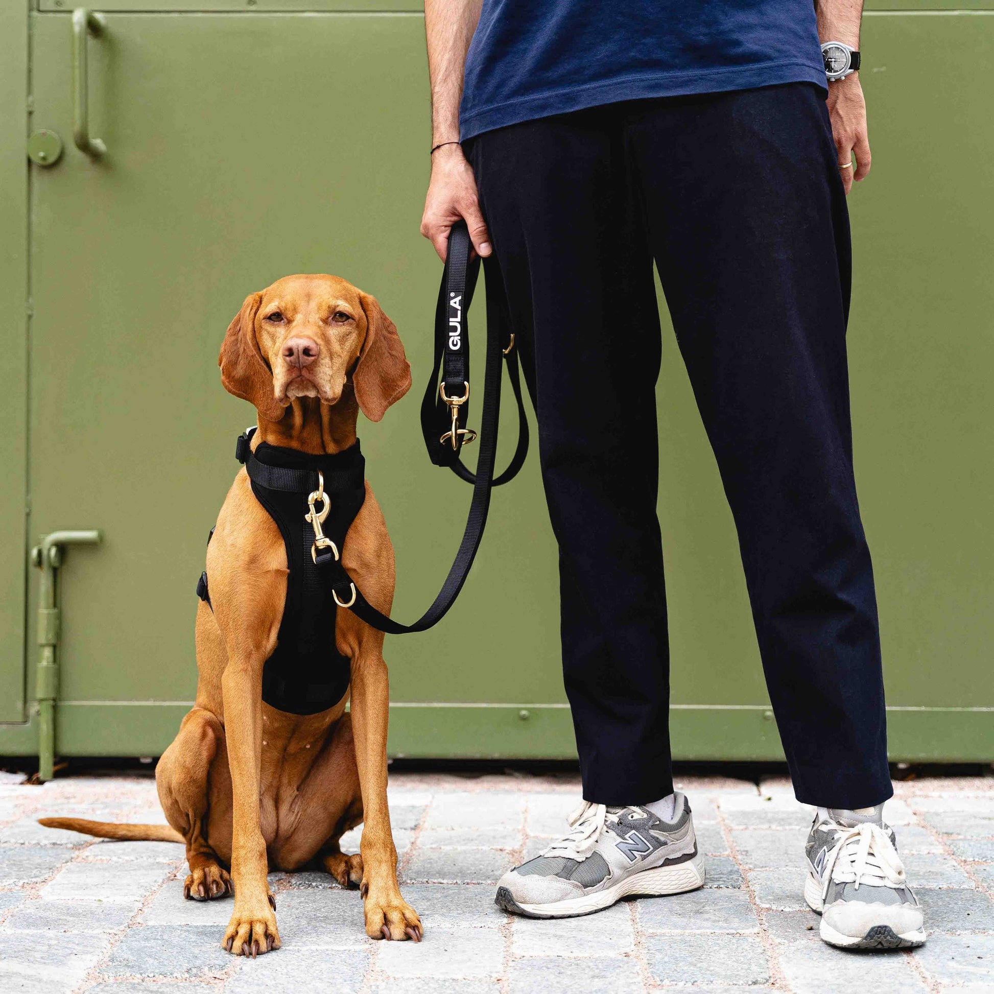 GULA DOG CARE Koiran talutin, musta