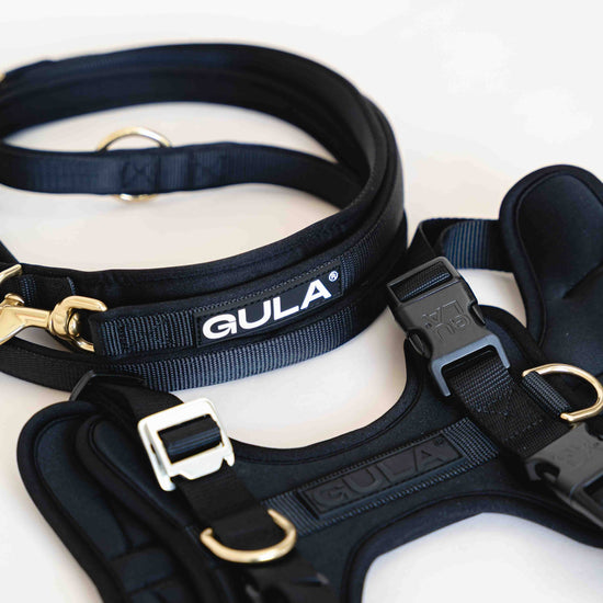 GULA DOG CARE Koiran talutin, musta