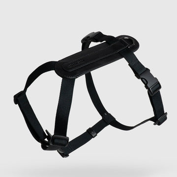 Masimalo Koiran valjaat, musta