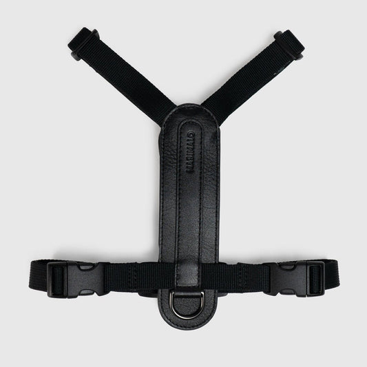 Masimalo Koiran valjaat, musta