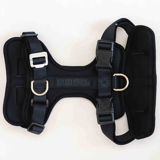 GULA DOG CARE Koiran valjaat, musta