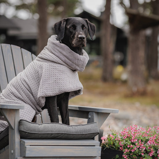 PAIKKA Kylpytakki koiralle, harmaa