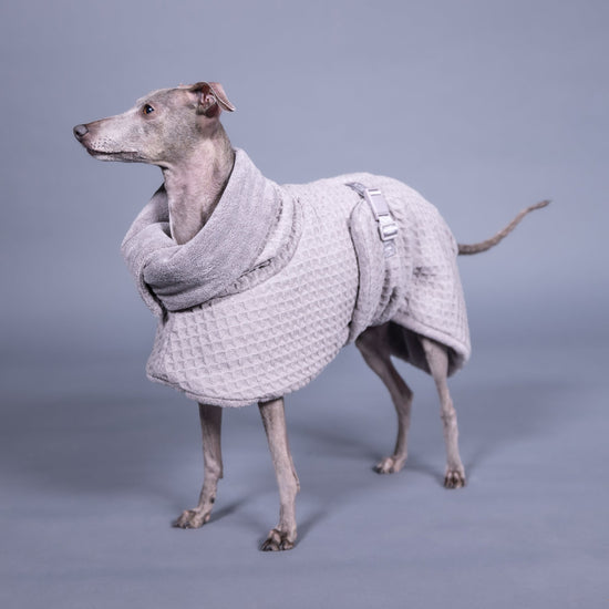 PAIKKA Kylpytakki koiralle, harmaa