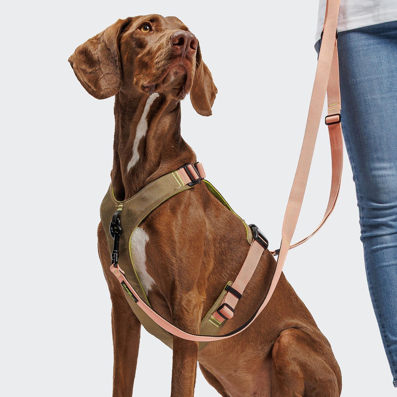 CLOUD7 L - 1 AKTIV Hands - Free talutin, persikka