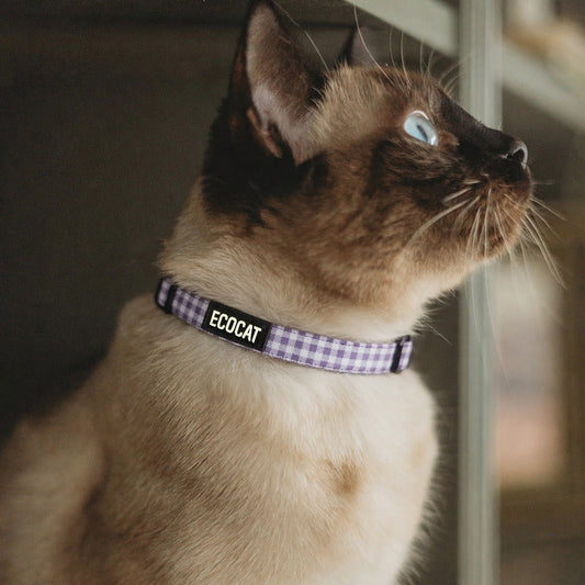 Cat Collar, Lavender Checkered