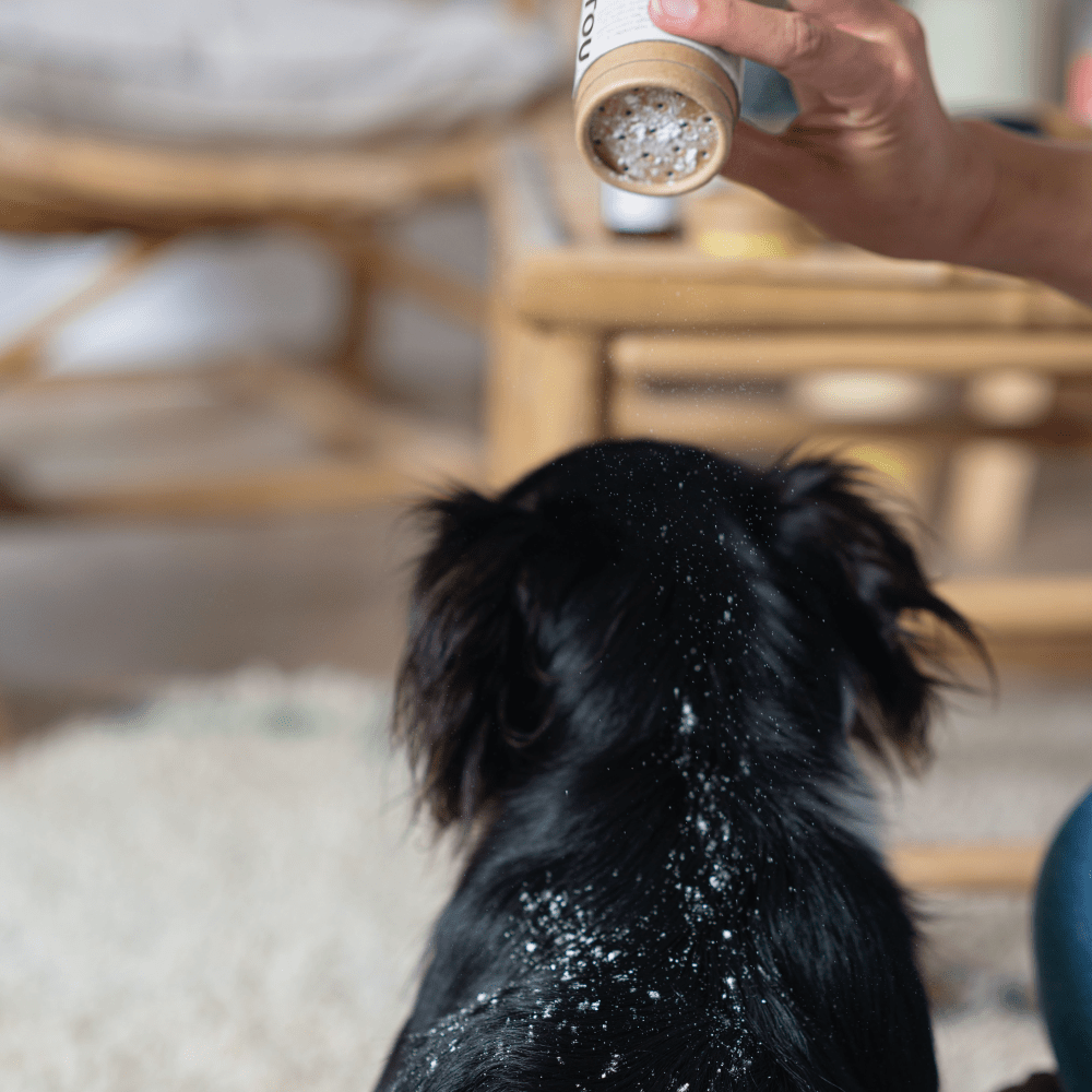 Toutou Petcare Lemmikin kuivashampoo