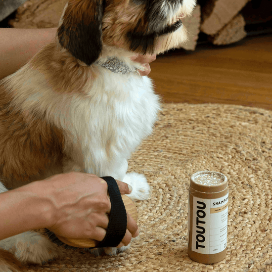 Toutou Petcare Lemmikin kuivashampoo