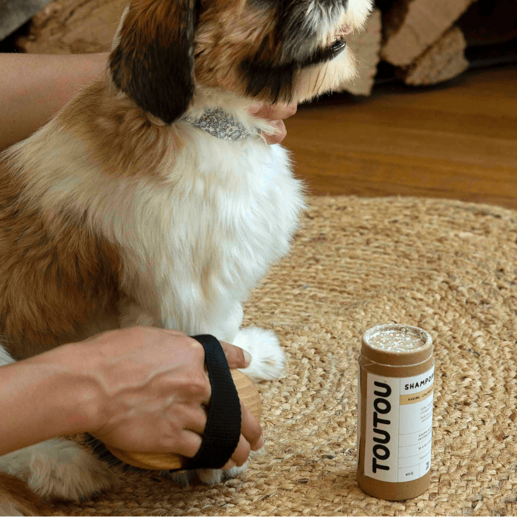 Toutou Petcare Lemmikin kuivashampoo