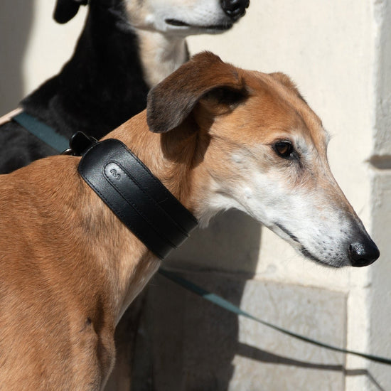 Masimalo Leveä nahkapanta, musta