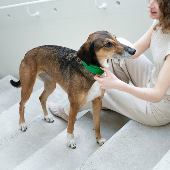 Masimalo Leveä nahkapanta, vihreä