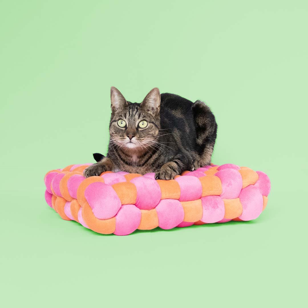 Coockoo Makoilualusta, oranssi - pinkki