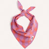 CAFIDE Nata - koiran bandana, violetti ruutu