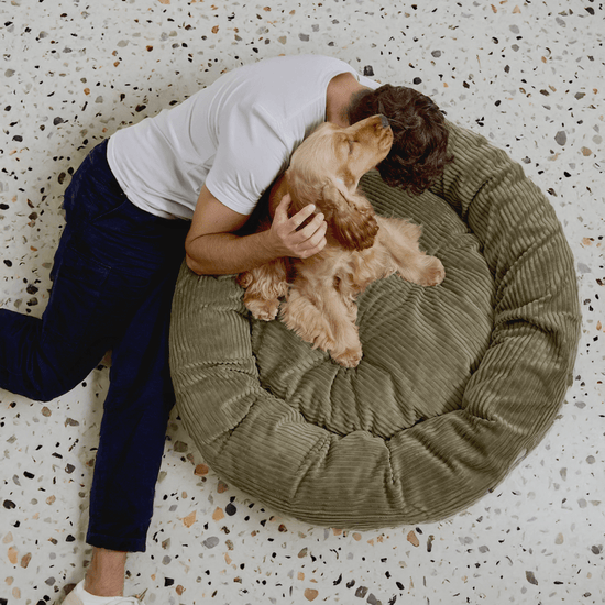 CAFIDE Nuba - lemmikin peti, vihreä