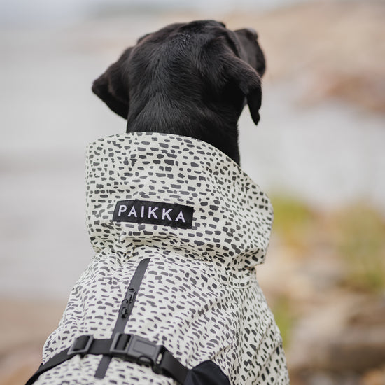 PAIKKA pilkullinen hohtava ja heijastava sadetakki koiralle