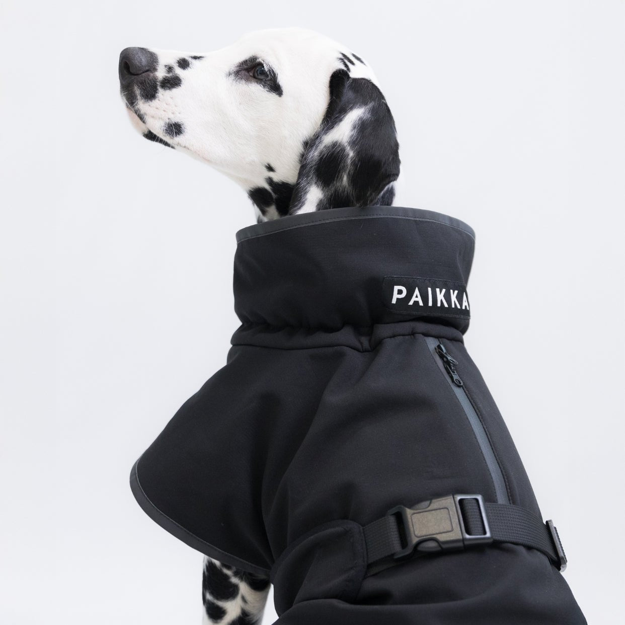 PAIKKA Palauttava softshell - takki koiralle, musta