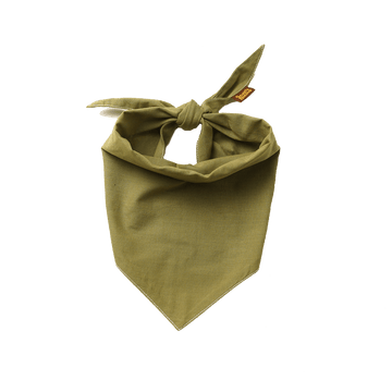 Scout's Honour Partiohuivi lemmikille, olive green