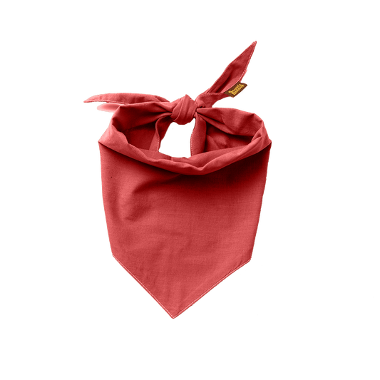 Scout's Honour Partiohuivi lemmikille, rosey red