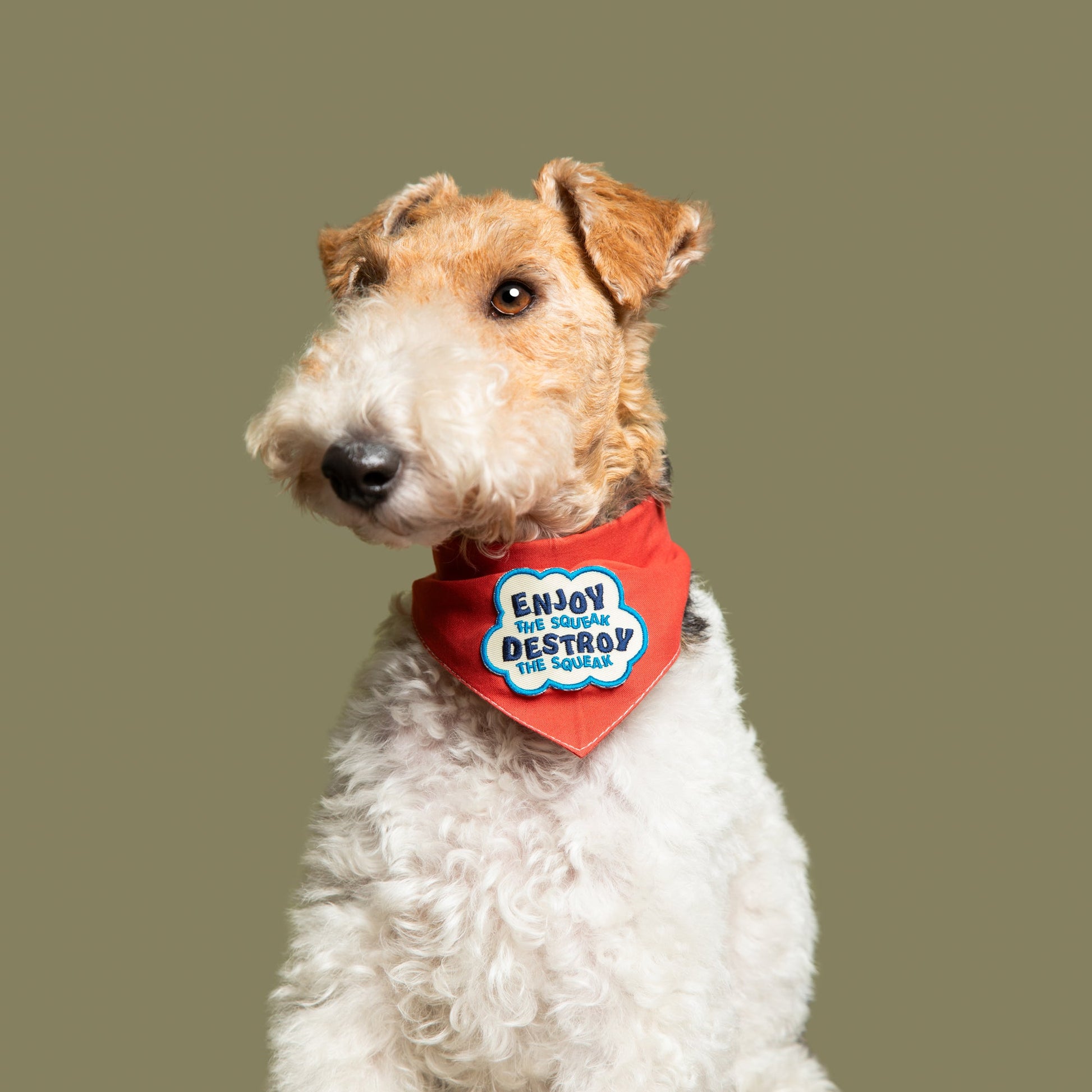 Scout's Honour Partiohuivi lemmikille, rosey red