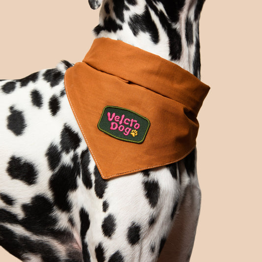 Scout's Honour Partiohuivi lemmikille, rust