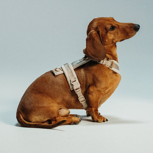 Furlou Pehmustetut valjaat, hiekka