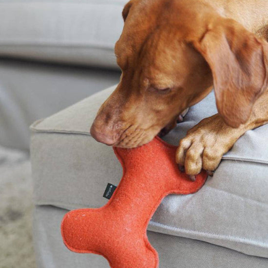 CAFIDE Play - koiran lelu, terracotta