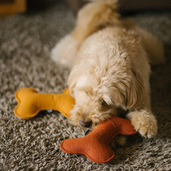 CAFIDE Play - koiran lelu, terracotta