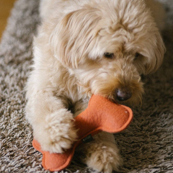 CAFIDE Play - koiran lelu, terracotta