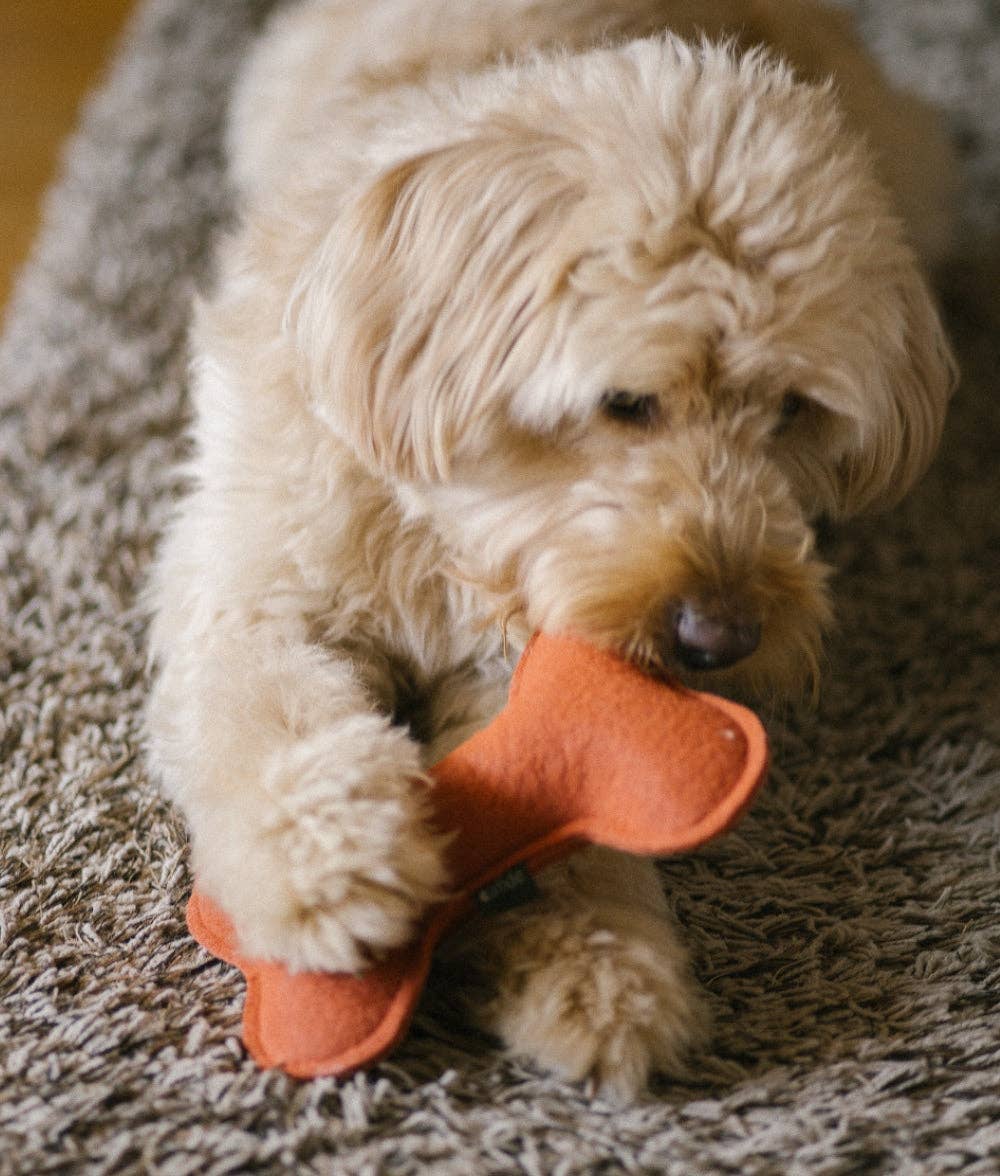 CAFIDE Play - koiran lelu, terracotta