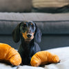 P.L.A.Y. Pup's Pastry - koiran lelu