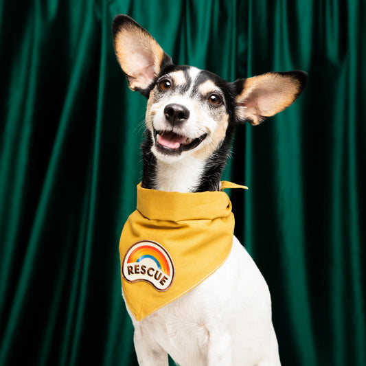 Scout's Honour Rescue - silitettävä kangasmerkki lemmikille