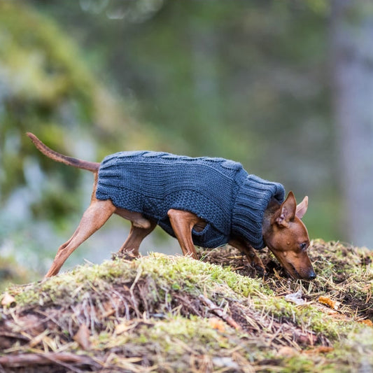 Rukka Pets koiran neulepaita mustana