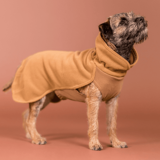 PAIKKA Seawool paita koiralle, ruskea