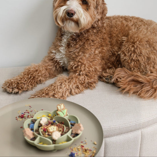 Furlou Slow feeder, vihreä