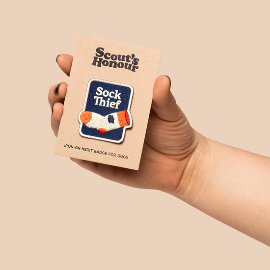 Scout's Honour Sock Thief - silitettävä kangasmerkki koiralle