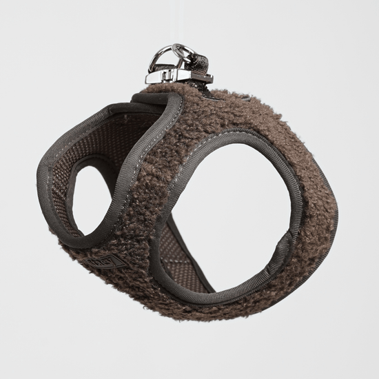 Staey Step - in Teddy - valjaat, espresso