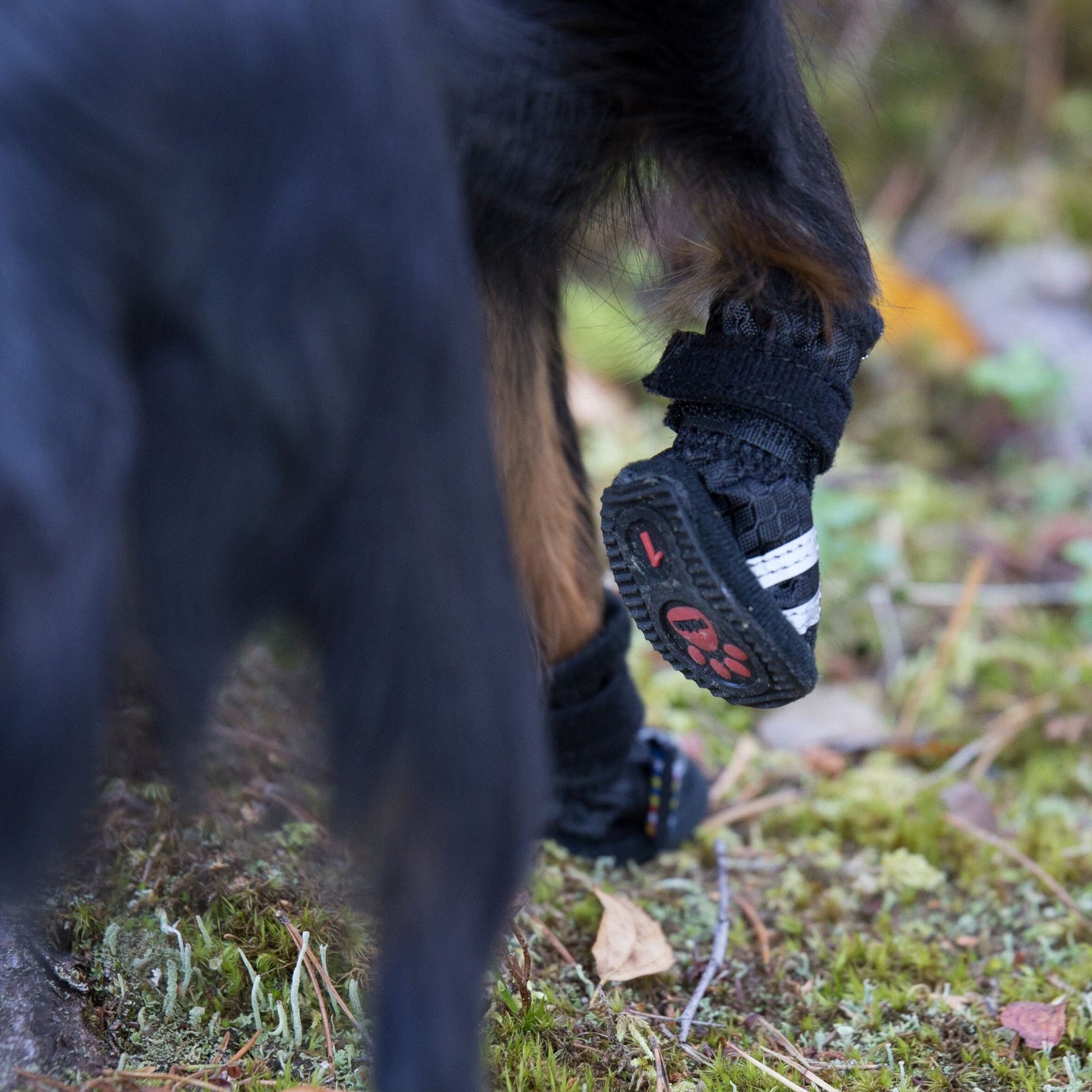 Rukka Pets Step - koiran kengät, 4 kpl