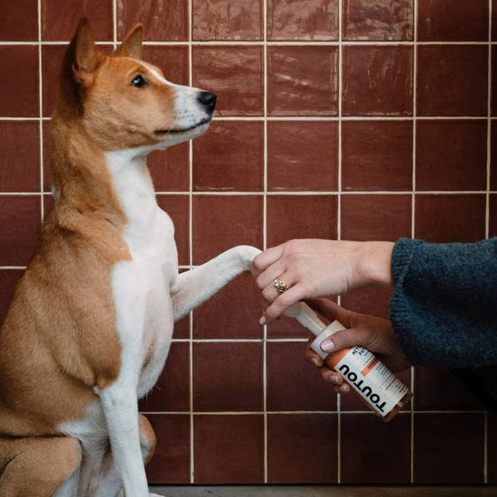 Toutou Petcare Täytettävä tassupuhdistusainepullo